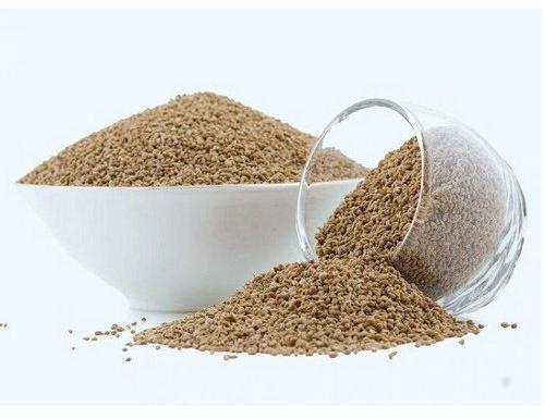 Organic Ajwain Extract, Packaging Type : HDPE Bag