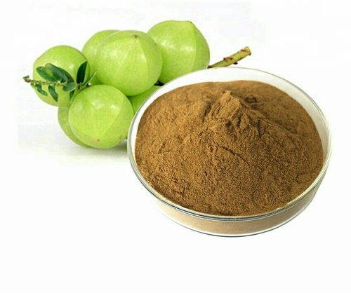 GMO Amla (Phyllanthus Emblica) Extract, For Office