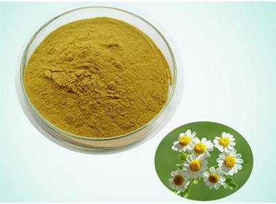 Feverfew Extract, Packaging Size : 1, 2, 5, 10, 25 KG