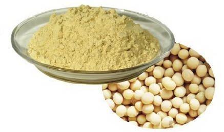 Soy Isoflavone Extract, Packaging Size : 1, 2, 5, 10, 25 KG