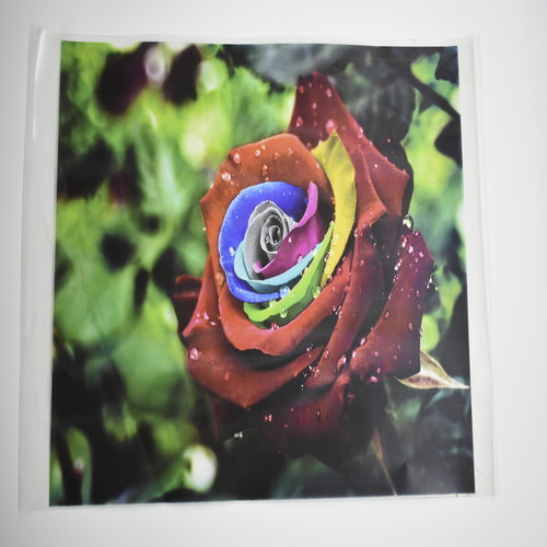 Classik Polypropylene Lenticular 3D Sheets, Color : Vibrant Multi Colour