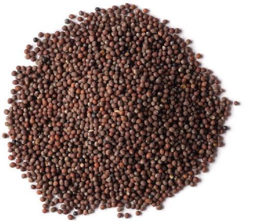 Raw Brown Mustard Seeds, Grade Standard : Food Grade