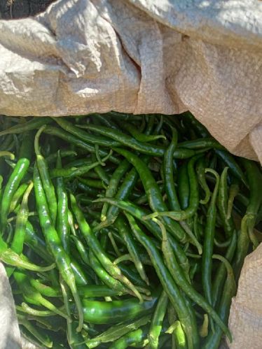 LONG 2-3 MM Natural GREEN CHILLI, For WHOLE SALE MARKET, Feature : Good In Taste