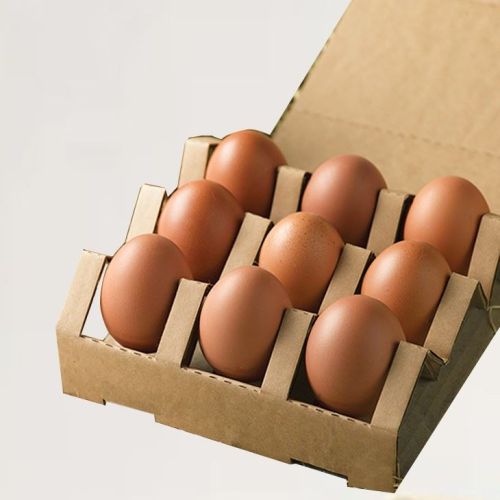 Rectangular Cardboard Egg Packaging Box, Color : Brown