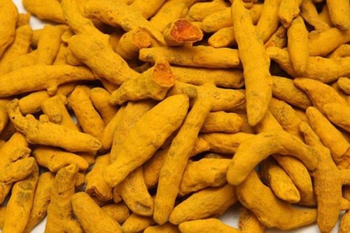 Unpolished Raw Organic Turmeric Finger, For Spices, Certification : FSSAI Certified