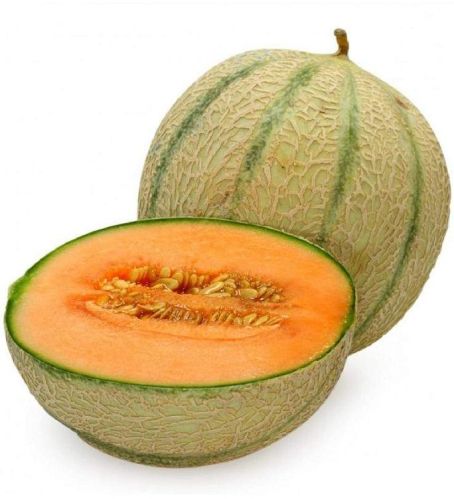 Natural Fresh Musk Melon, For Human Consumption, Packaging Type : Jute Bag