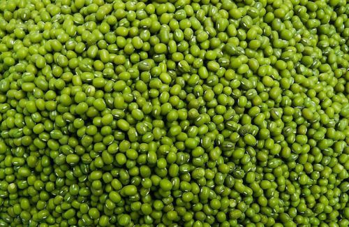 Organic Green Moong, For Cooking, Certification : FSSAI Certified