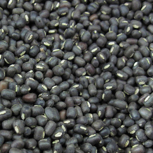 Urad Seeds