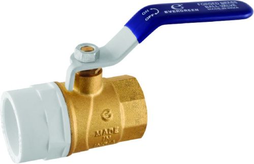 UPVC Brass Ball Valve 1