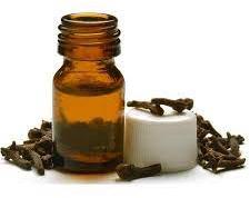 Clove Bud Oil