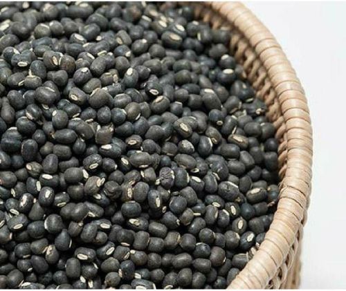 Organic Whole Black Urad Dal, Packaging Type : Plastic Packet