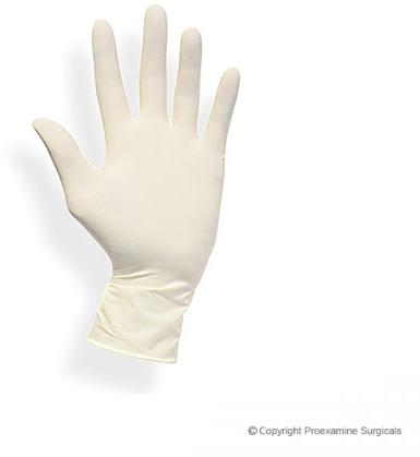 Examination Gloves Latex Powder Free