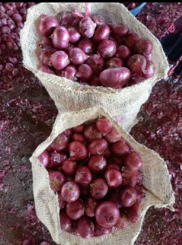 Round Organic Red Onion, For Hotels, EXPORTS, Packaging Type : Jute Bag, Gunny Bag