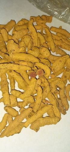 Common Turmeric, For Food Additives, Medicinal, Packaging Size : 20-25kg, 50 Kg