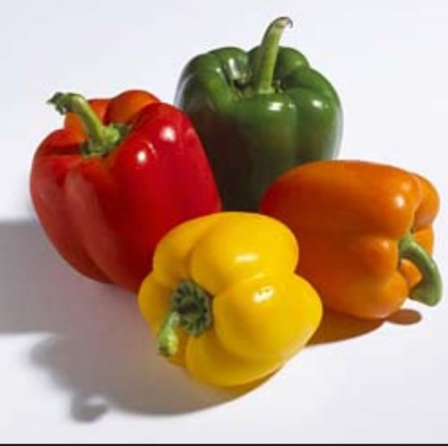 Oval Fresh Capsicum, For Cooking, Packaging Type : Jute Bag