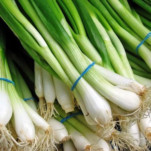 Oval-Round Natural Fresh Green Onion, For Cooking, Human Consumption, Feature : High Quality