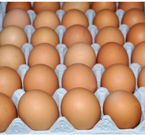 Kadaknath Chicken Eggs