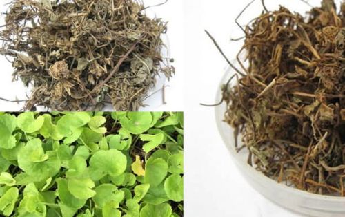 Organic Centella Asiatica, For Food Additives, Medicinal, Style : Dried