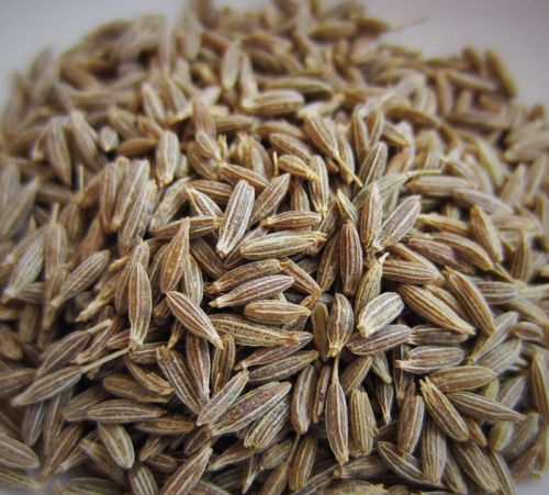 Raw Organic Cumin Seeds, For Cooking, Certification : FSSAI Certified