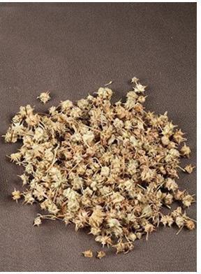 Tribulus Terrestris, For Health Supplement, Pharmaceutical, Packaging Size : 25 Kg