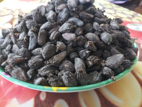 Big Cardamom, For Medicnes, Feature : Good Quality