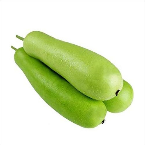 Oval Organic Fresh Bottle Gourd, For Cooking, Color : Green