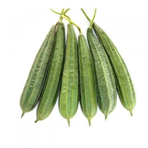 Long Shpaed Organic Fresh Ridge Gourd, For Cooking, Color : Dark Green