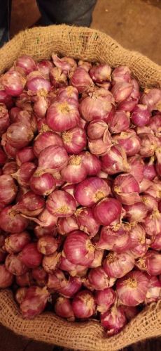 Oval Organic Fresh Shallot Onion, For Cooking, Color : Light Pink