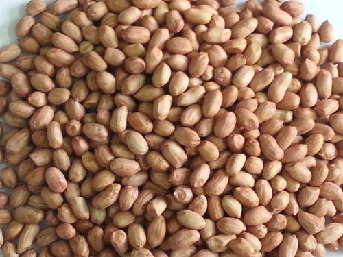 Indian Peanuts, Feature : Fine Taste, Protein Source