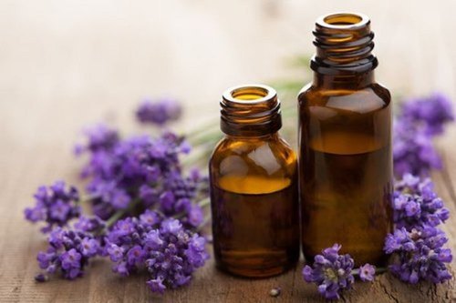 Lavender Essential Oil, Purity : 100%