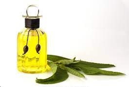 Camphor Oil,camphor Oil, For Medicine, Feature : Improves Circulation, Reduce Itching, Reduces Nervous Disorders