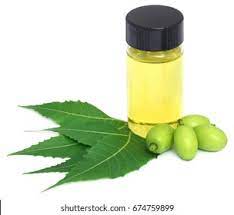Neem Extract, For Medicinal, Food Additives, Beauty, Packaging Type : Bottle