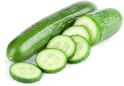 Natural Fresh Cucumber,fresh Cucumber, For Human Consumption, Packaging Type : Jute Bag