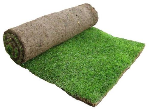 PP Lawn Grass, For Garden, Technics : Machine Made