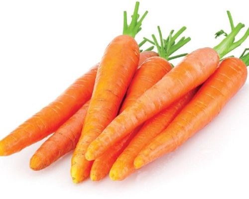 Carrot, For Food, Color : Light Red, Red