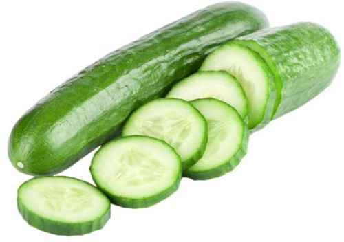 Natural Cucumber, For Human Consumption, Animal Feed, Food Industry, Color : Green