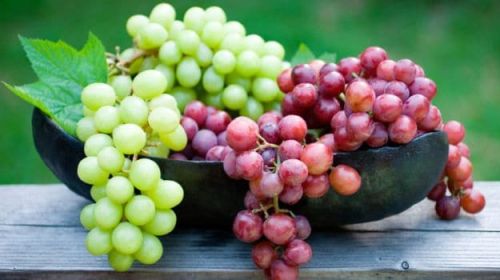 Organic Grapes, For Food Medicine, Color : Green