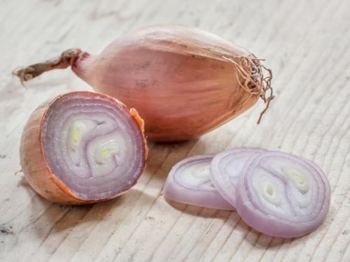 Natural Shallot, For Cooking, Enhance The Flavour, Human Consumption, Style : Fresh