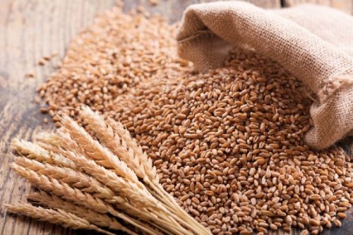 Natural Wheat, For Bakery Products, Cookies, Cooking, Making Bread, Color : Brown-Yellow