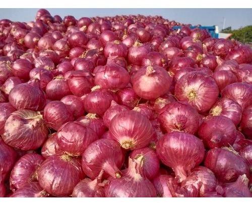 Natural Red Onion, For Non Harmful, Good Nutritions, Good Health, Hygienically Packed, Packaging Type : Jute Bag