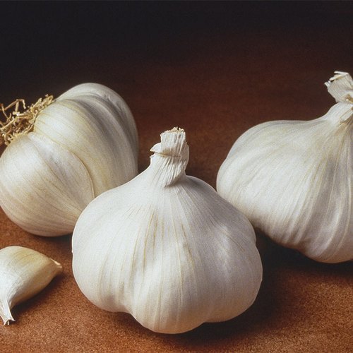 Fresh Garlic, Packaging Type : Carton Box Mesh Bag