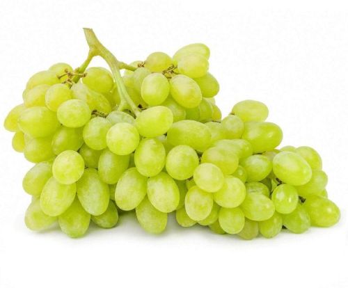 Natural Fresh Grapes, For Human Consumption, Packaging Type : Paper Box