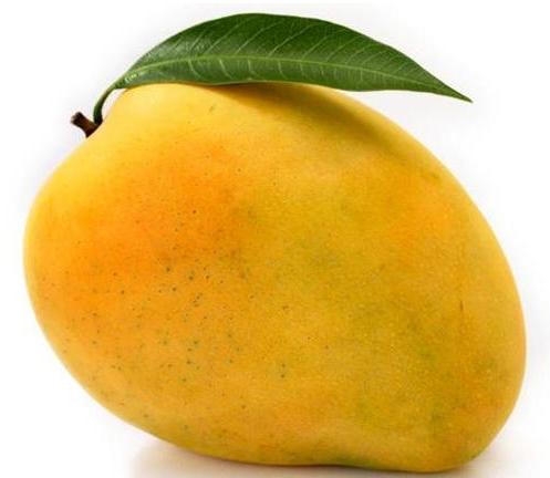 Natural Fresh Mango,fresh Mango, For Direct Consumption, Food Processing, Juice Making, Taste : Delicious Sweet