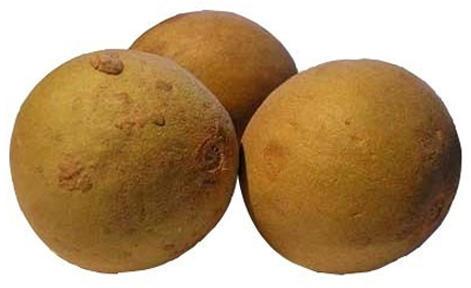 Natural Fresh Sapota, Packaging Type : Paper Box