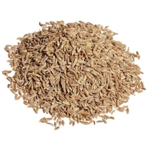 Common Cumin Seeds, For Cooking, Mouth Freshner, Style : Dried