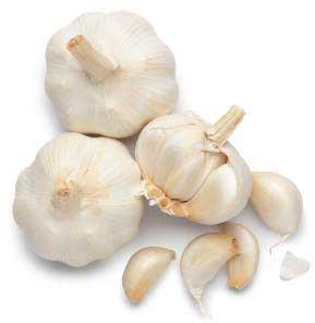 Fresh Garlic, For Cooking, Fast Food, Snacks, Feature : Dairy Free, Gluten Free, Moisture Proof