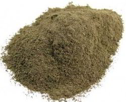 Brahmi Powder, Packaging Size : 25 Kg