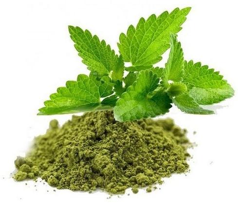 Green Tulsi Powder, Packaging Size : 10-20kg, 20-30kg, 30-40kg, 40-50kg