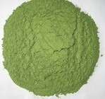 Herbal Indigo Powder, Color : Green