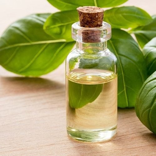 Crude Natural Basil Oil, For Body Care, Skin Care, Spa, Certification : FSSAI Certified